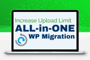 WP all in one Migration – 网站无限大小备份还原插件