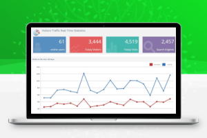 Visitor Traffic Real Time Statistics Pro – 实时访客流量统计分析展示插件