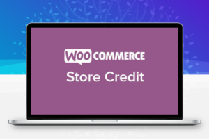 Woocommerce Store Credit – 商店用户储值余额系统插件
