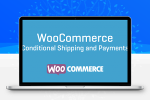 WooCommerce Conditional Shipping and Payments – 按条件设定的运输和付款插件