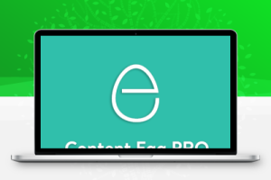 Content Egg Pro – WordPress自动更新产品信息分销管理插件高级版
