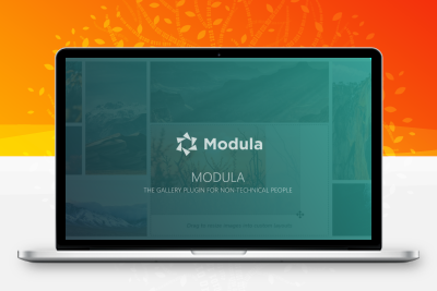 Modula Pro – WordPress图片相册管理插件