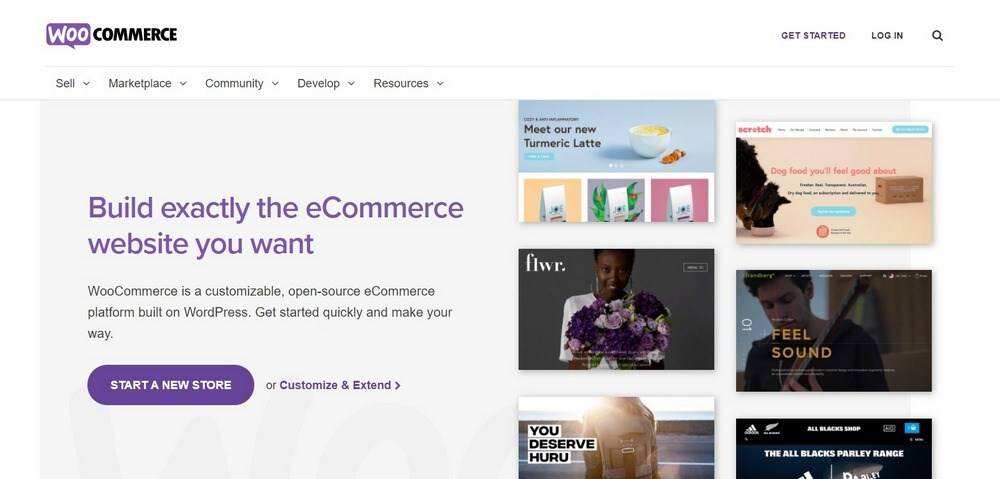 如何安全正确地更新WooCommerce插图2