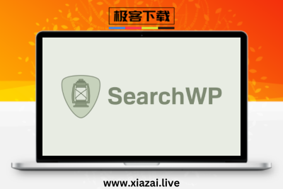 SearchWP Pro – WordPress智能搜索全文搜索插件高级版