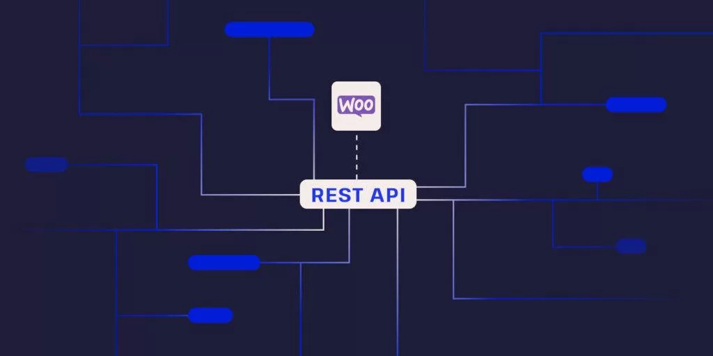 WooCommerce REST API 终极手册：包含实用示例插图