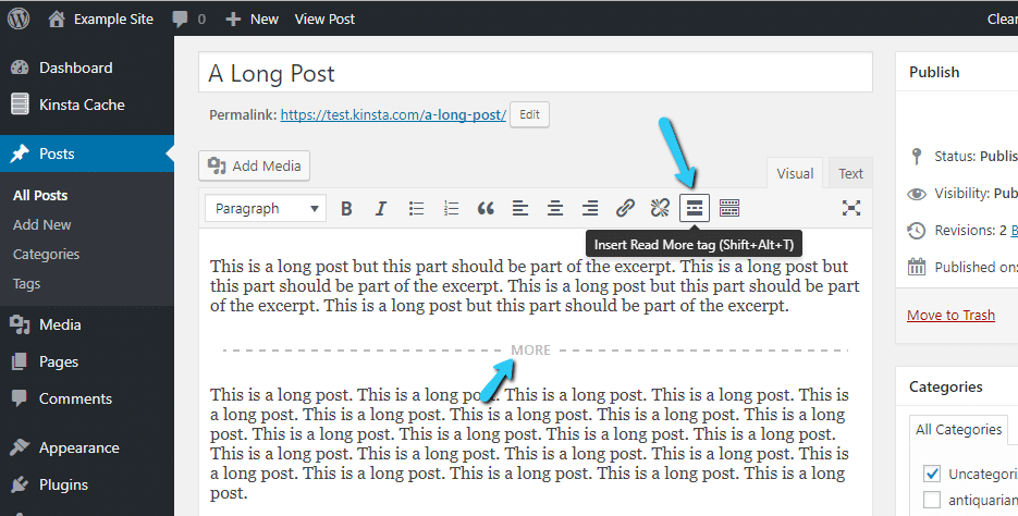 什么是 WordPress 摘要？与更多标签输出内容有何区别？插图8