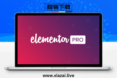 Elementor Pro – 汉化编辑器插件已激活送2100套模板视频教程