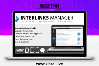 InterLinks Manager Pro – WordPress站内链接智能管理插件高级版