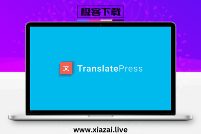 TranslatePress – WordPress一站式多语言翻译插件Business版