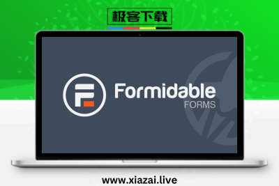 Formidable Forms Pro – WordPress 的表单构建器插件