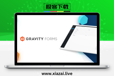 Gravity Forms – WordPress重力表单插件高级版