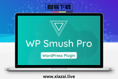 Smush Pro – WordPress网站图片瘦身图像批量压缩Webp生成插件