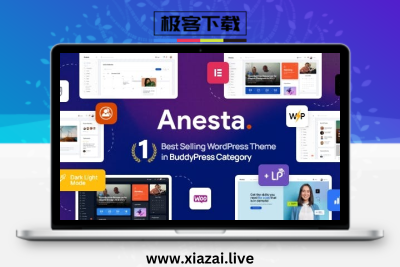 Anesta – Intranet, Extranet, Community and BuddyPress社区主题