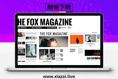 The Fox – WordPress高级简约新闻杂志主题
