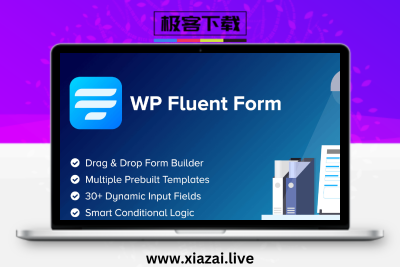 WP Fluent Forms Pro Add-On – 表单高级扩展插件