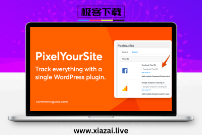 Pixelyoursite Pro – WordPress整站插入主流追踪代码插件