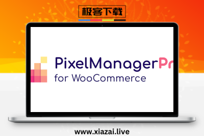 Pixel Manager Pro for WooCommerce – 谷歌、Facebook、Tiktok像素追踪插件高级版