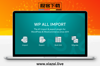WP All import 适用于 WordPress 和 WooCommerce 的最佳导入导出插件