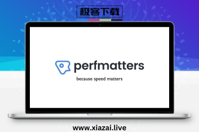 Perfmatters – WordPress网站性能提升轻量级优化系统配置插件