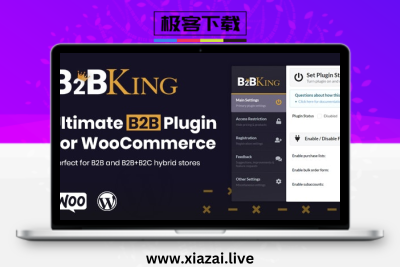 B2BKing – WordPress B2B批发销售询价插件