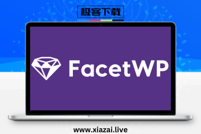 FacetWP – WordPress贴文商品搜索过滤条件管理插件高级版