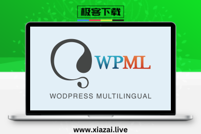 WPML Multilingual CMS WP多语言翻译插件高级版