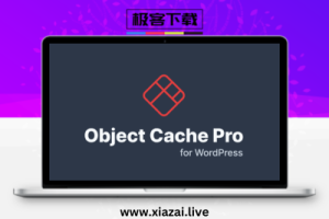 Redis Object Cache Pro – WordPress企业级对象缓存插件高级版